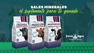 Sal Mineral para ganado. El Suplemento ideal.