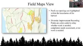 Forest Stand Improvement in the Quabbin Watershed