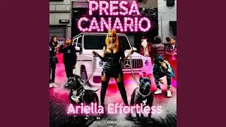 Presa Canario