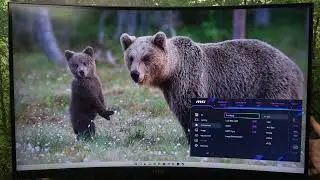 How to Change Pro Mode on MSI MAG 321CUP