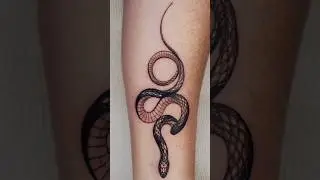 Snake #tattoo #snaketattoo #blackwork #tattooing #tiktok