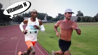What Eluid Kipchoge Taught Me About Marathon Training | Sub 2:30 Prep