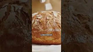 Funny Low Carb Bread Science Explainer #interesting #facts #carbs #didyouknow #wow #bread