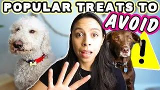 BEST DOG TREATS MONEY CAN BUY 💰 & SCARY ingredients most treats have!!