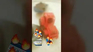 bulltanic vs doldTanic