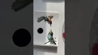pinturas de p&aacute;ssaros em aquarela #shorts #aquarela #passaros #ornitologia