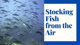 Extreme Fish Stocking: Repopulating Lakes by Air