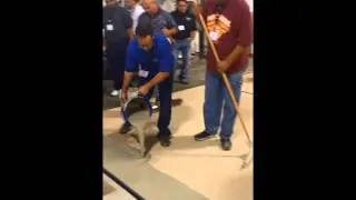 CTS RapidSet TRU Self Leveling Overlay Demonstration