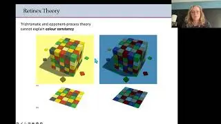 Biopsychology - Colour theories