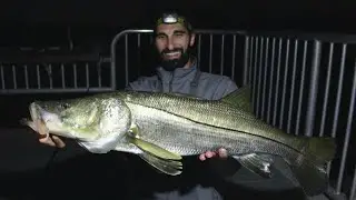 Buying A New Rod And Immediately Fishing It (Snook, Tarpon, Grouper & Snapper)
