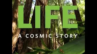 Life. A Cosmic Story. Trailer