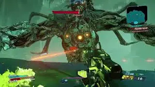 Graveward run on mayhem 2 on Borderlands 3
