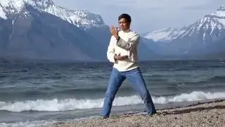 QIGONG FOR HEALTH  Flying Phoenix Heavenly Healing Chi Meditation (Long Form) by Sifu Terence Dunn