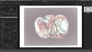 Copy Studio Capture One Pro