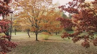 RMM Relaxing Deep Sleep Music & Stunning Nature, Meditation Music, Stress, Healing Therapy Music 4K