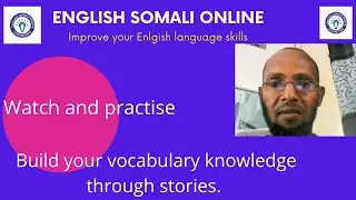 Present perfect tense #1