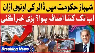 Dollar Increased in Pakistan During Shehbaz Govt | Dollar Exclusive News | Breaking News