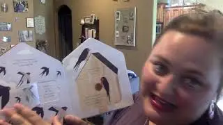Read Aloud: Birdhouse: A lift the flap book of discovery.