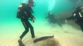Buceo Diving Tarragona RikySub 2015