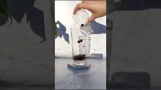 How To Make Taro Blue Bubble Milk Tea | DIY Boba Kit | Cup 49
