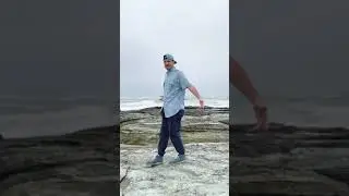 Whale Rap