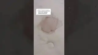 Cleaning period bl00d from a mattress (it happens 🤷&zwj;♀️)