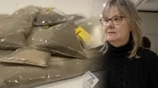 'This is a much bigger infrastructural problem': High levels of lead found in Eastside yards
