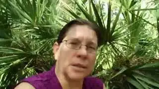 Principles of Magic