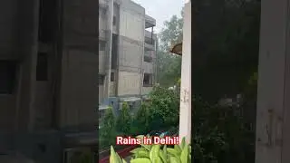 Rains in Delhi today #monsoon #rain #rainstorm #nature #delhi #naturelovers