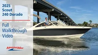2025 Scout 240 Dorado | MarineMax Charleston