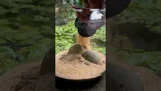 Making a Fish Bowl Aquarium beside the mini pond in the garden