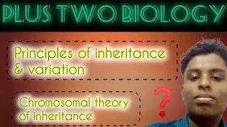 Plus Two Biology | Principles of inheritance & variation | Chromosomal theory in simple way