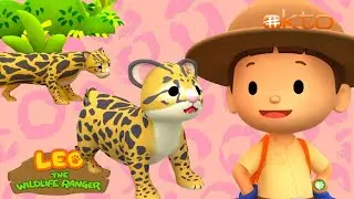 Leo the Wildlife Ranger |HELP This BABY LEOPARD Find It's MOM🐆❤️| Full Episode | @mediacorpokto  ​