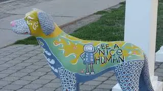 West Hartford Dog Walk 2022