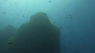 Dive Ref 20993   Ras il Hobz  Gozo   2025 03 16    4K