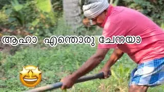 വിഷമില്ലാത്ത ഫലം #familyvlog 