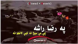 Pa Raza Rasha |  Pashto slowed and reverb songs | (slowed + reverb)