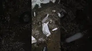 rubber boots in water