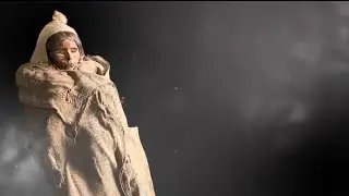 The story 
