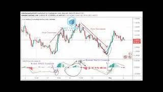How to USE RSI & MACD in CSE Stock exchange
