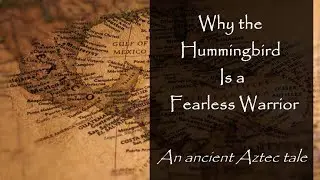 Hummingbird Tales: Why the Hummingbird is a Fearless Warrior