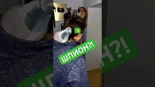 Шпиониро-Голубиро #юмор #рекомендации #приколы