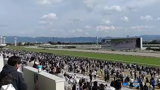 This is Japanese horse race at Goal line #exciting #track #tour 