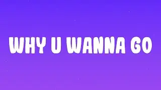 Sean Kingston - Why U Wanna Go