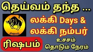 Rishabam | ரிஷபம்  ராசிக்கு தெய்வம் தந்த லக்கி நம்பர் & லக்கி நாள் | 100 % பணம் உடனே பையை நிரப்பும் 