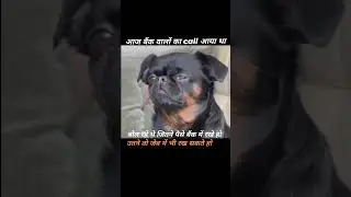 Funny Meme Video | Financial Funny Short Video  #funnyvideo #shortvideo #funnyshort #funnymemes #fun