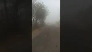 Village Road In Fog