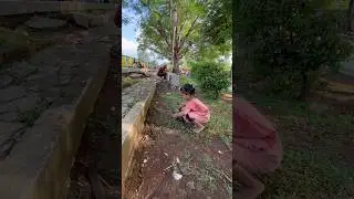 Lihat Barbara Nemu Apa Itu ?