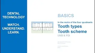 In the realm of the four quadrants.Tooth types and scheme  |  UNS, FDI