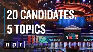 Democratic Debate Preview: Candidates And The Issues | NPR